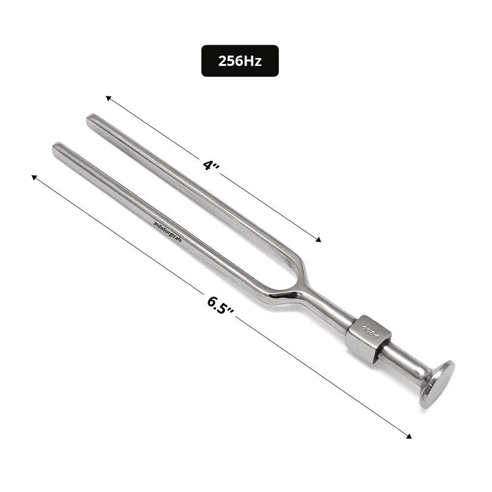 Reflex Hammer Taylor Model and Tuning Fork (256 Hz)